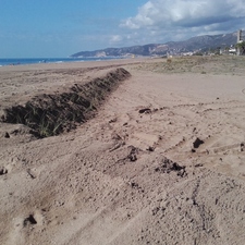 Millora de les dunes de Castelldefels